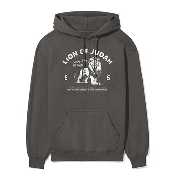 Lion of Judah Unisex Hoodie in charcoal color